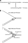 FIG. 10.