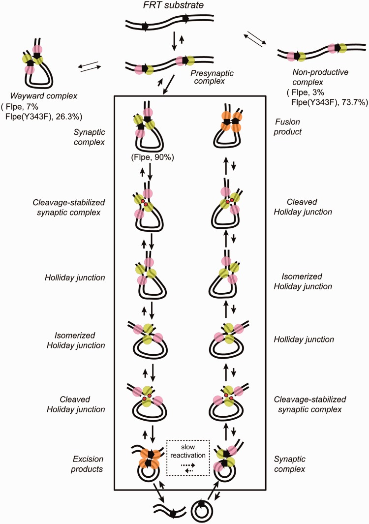 Figure 6.