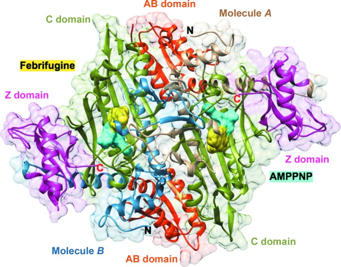 Figure 5