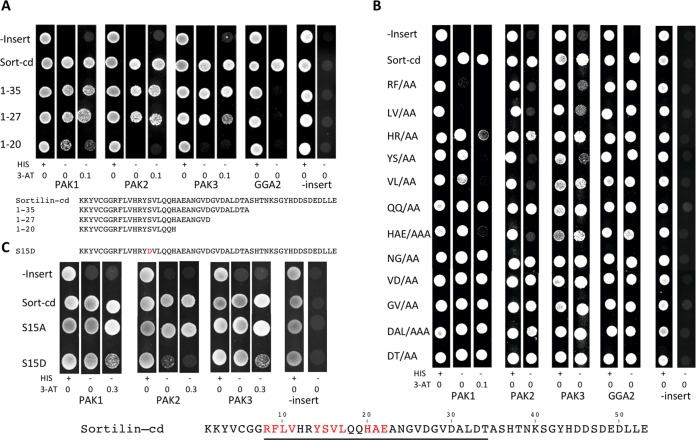 FIG 3