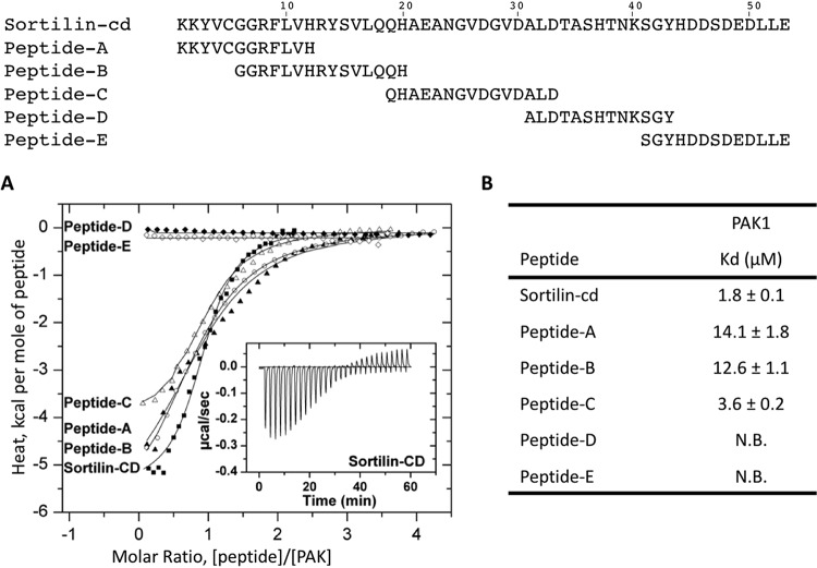 FIG 2