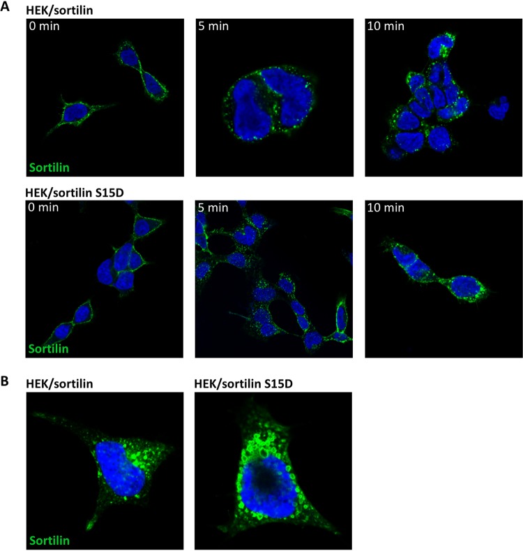 FIG 6