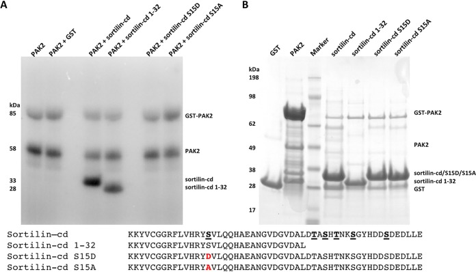 FIG 5