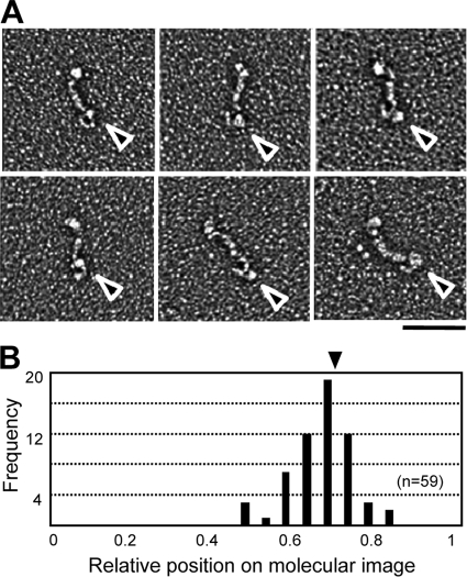 FIG. 6.