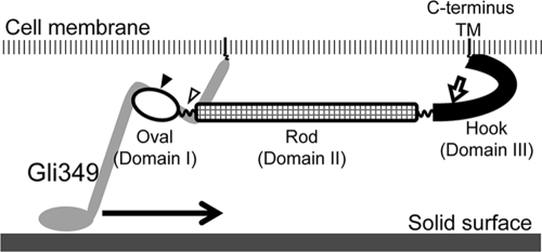 FIG. 8.