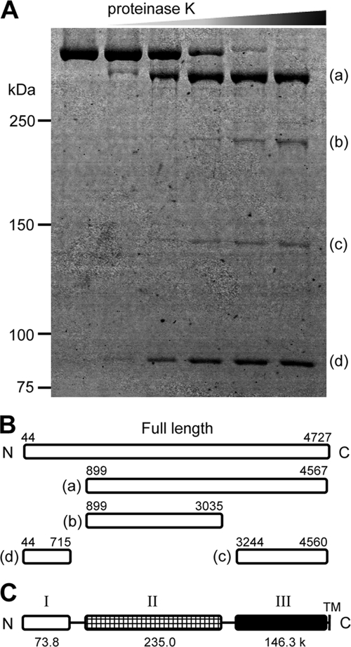 FIG. 7.