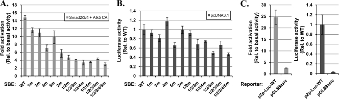 Fig. 8.