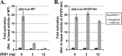 Fig. 10.