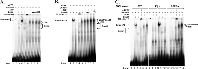 Fig. 9.