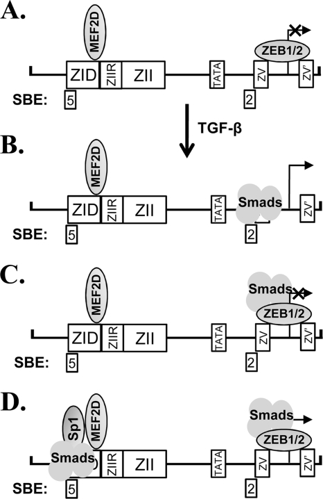 Fig. 11.