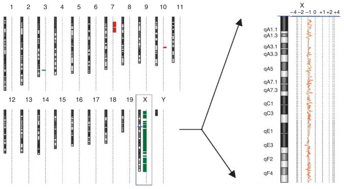 Figure 7