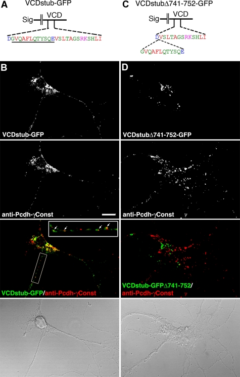 FIGURE 9: