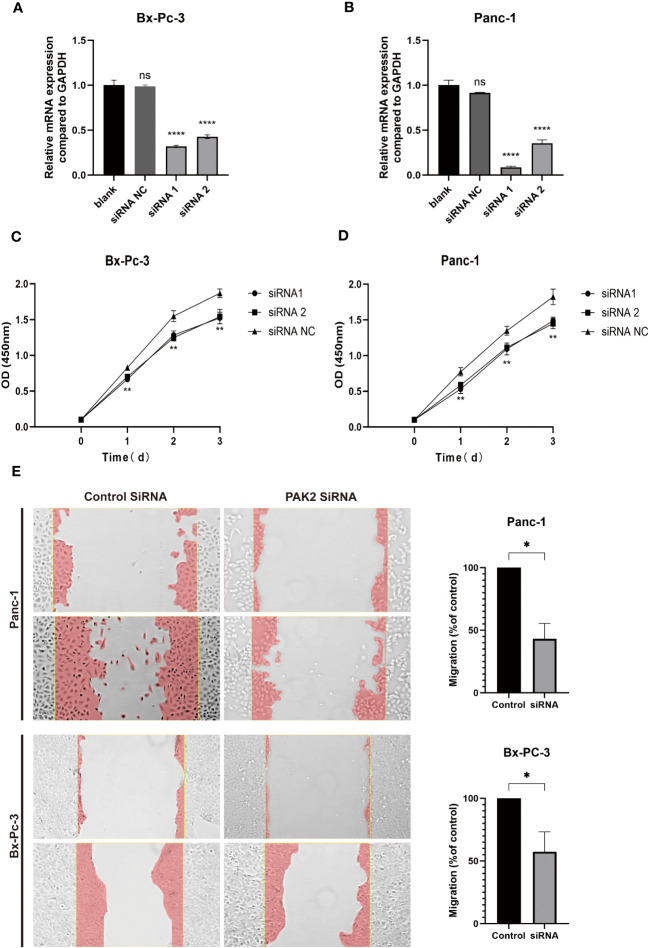 Figure 11