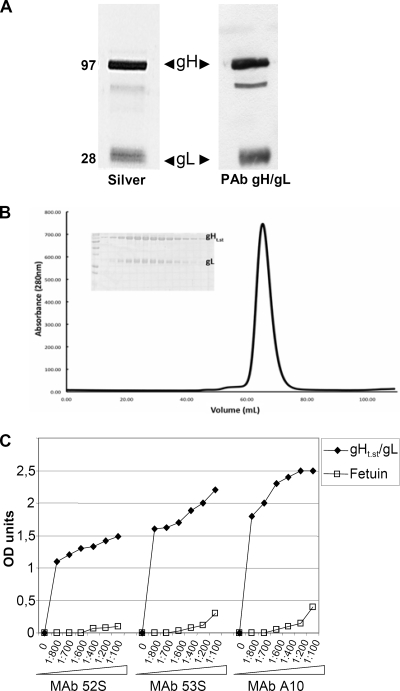 FIG. 1.