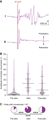 Figure 1—figure supplement 1.