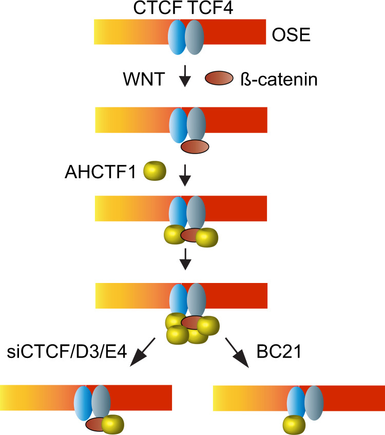 Fig. 4