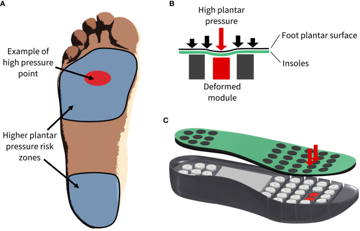 Figure 3