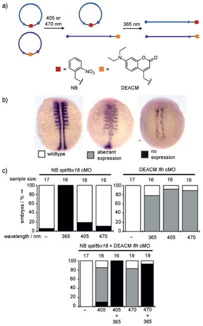 Figure 23