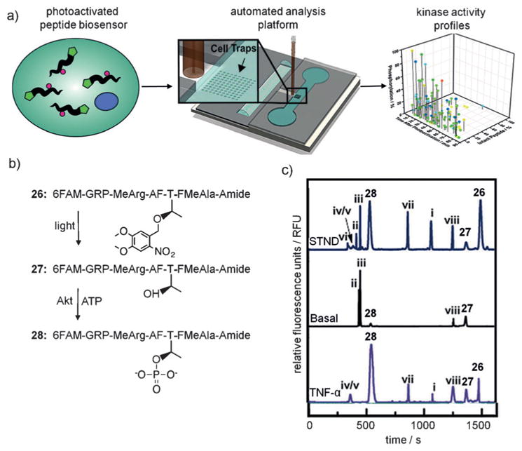 Figure 20