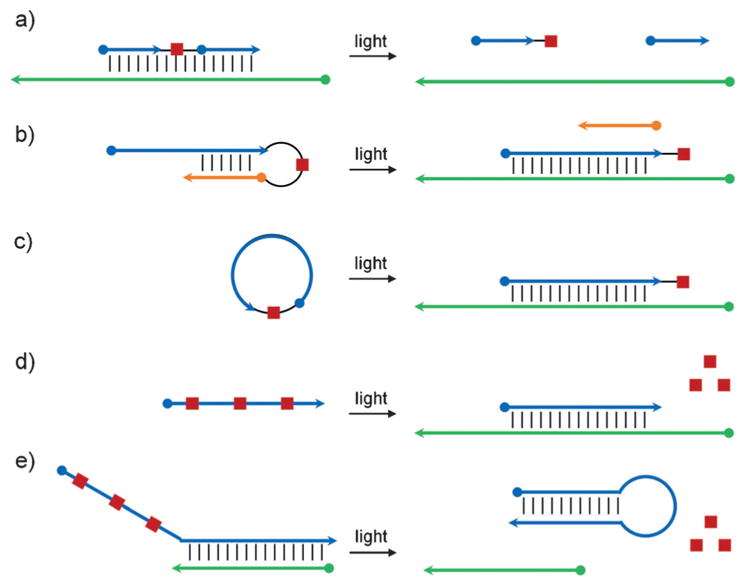 Figure 21