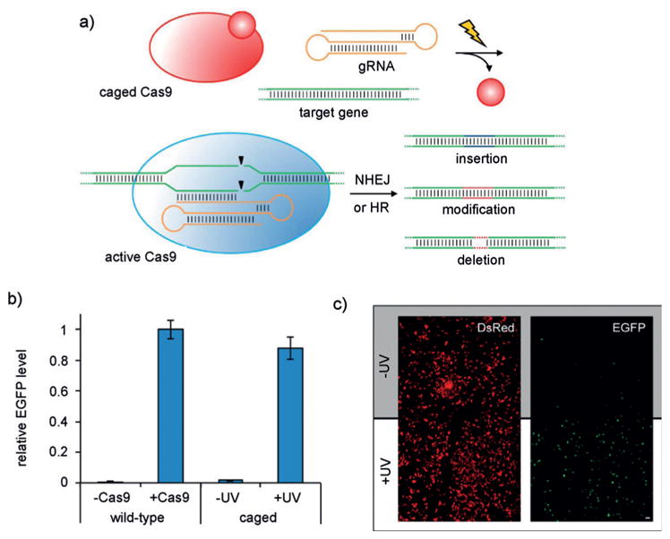 Figure 15