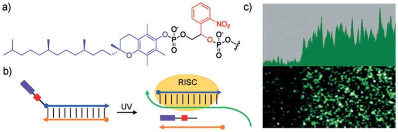 Figure 22