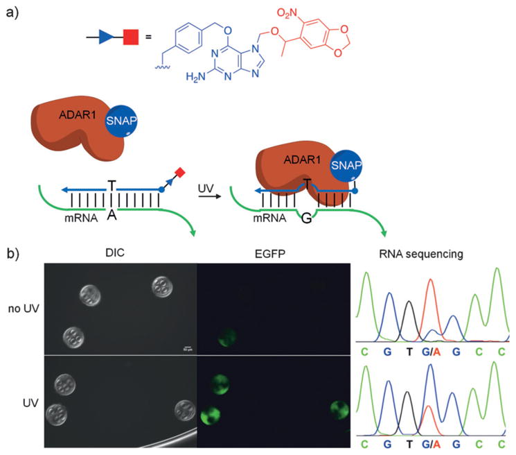 Figure 26