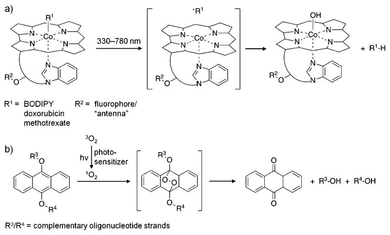 Figure 31