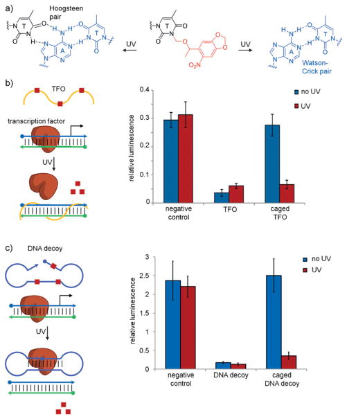 Figure 24