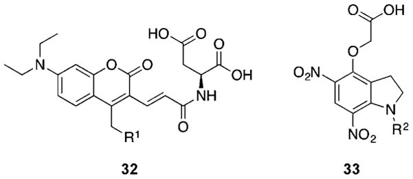 Figure 32