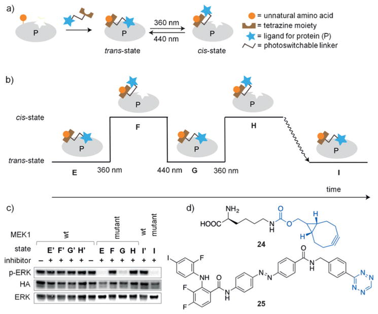 Figure 19