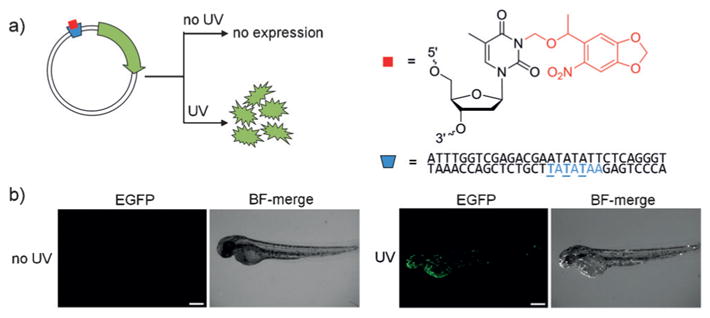 Figure 25