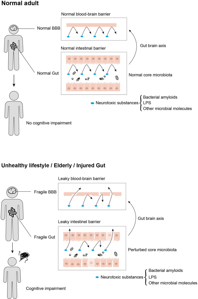 Figure 2