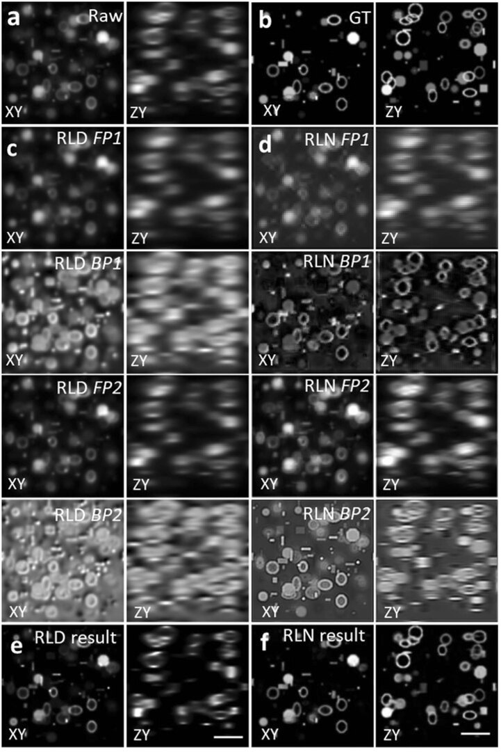 Extended Data Fig. 2