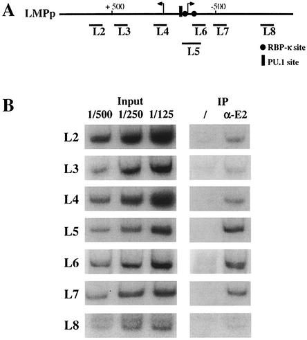 FIG. 1.