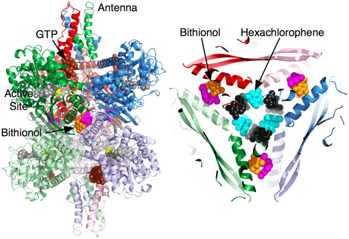 Figure 6