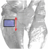 FIG. 13.