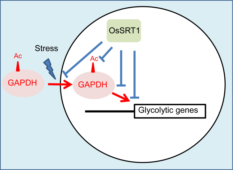 Figure 9.