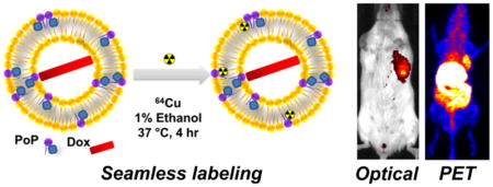 graphic file with name nihms973776u1.jpg