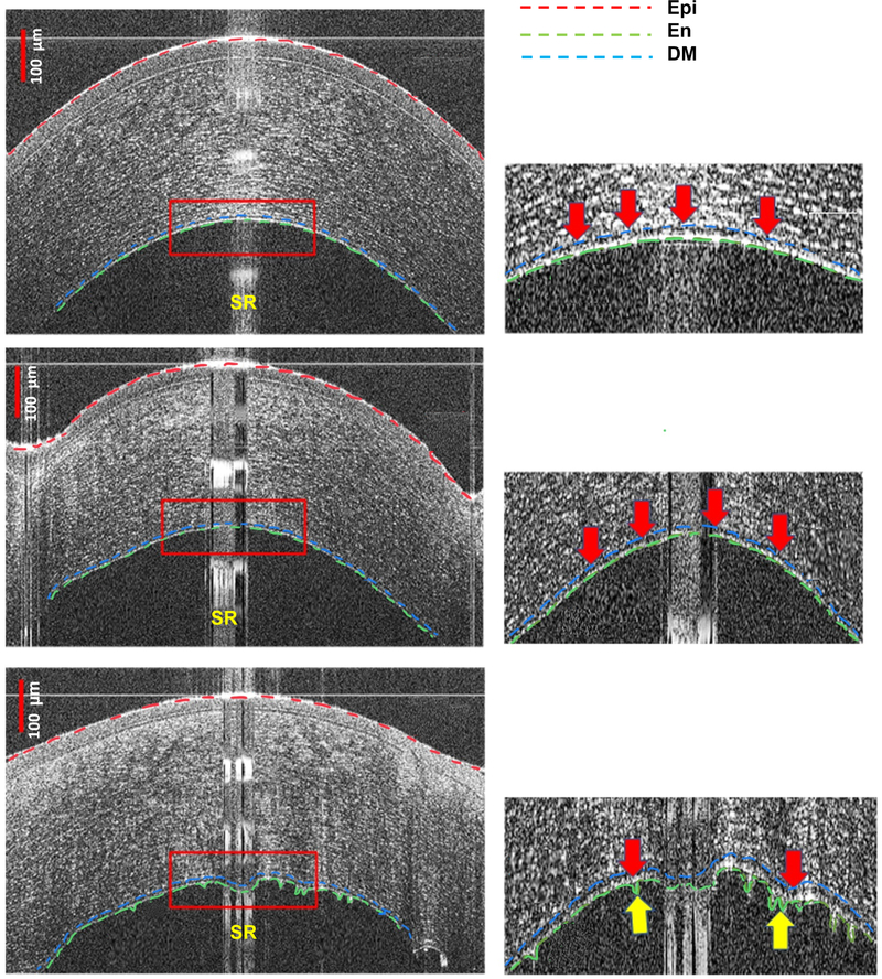 Figure 1: