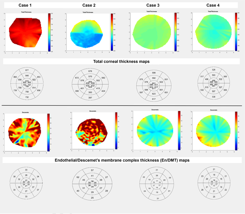 Figure 4: