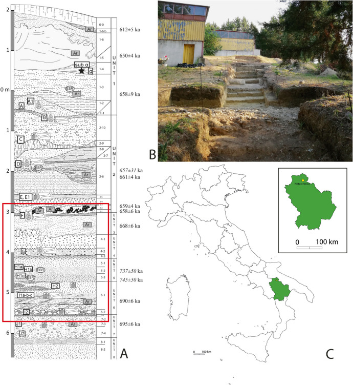 Fig. 2