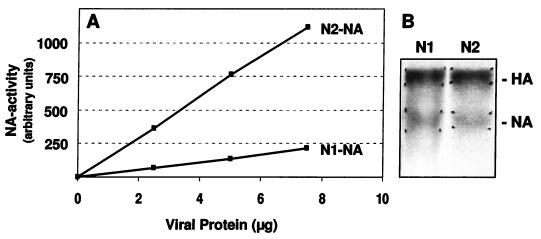 FIG. 6