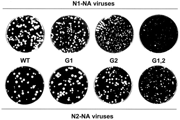 FIG. 5