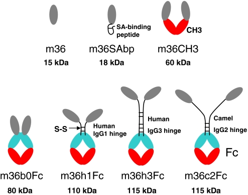 Fig. 4.