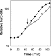 FIG. 1.