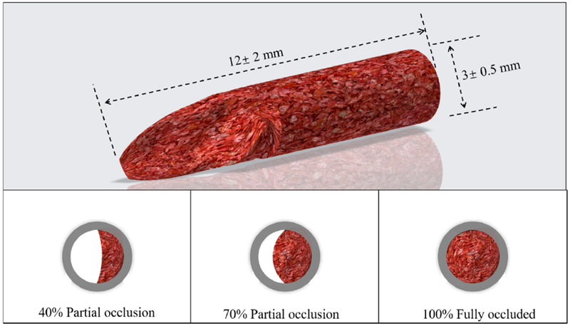 Figure 3: