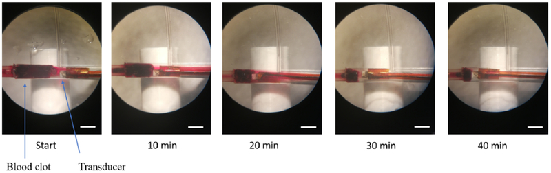 Figure 5: