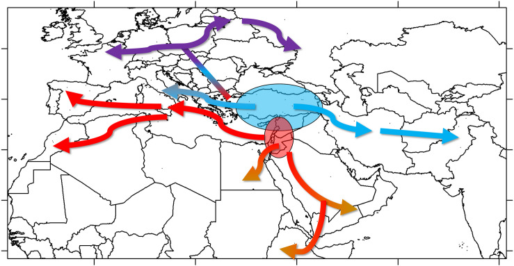 FIGURE 6