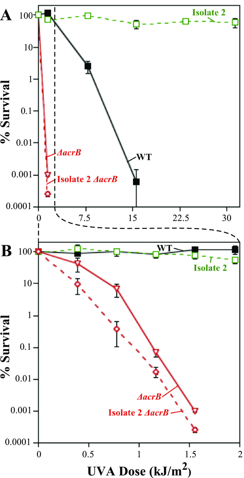 FIG 6